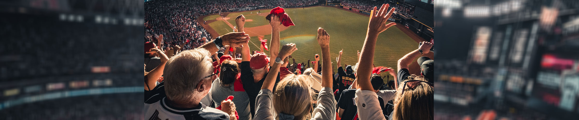 Crowd at Baseball game